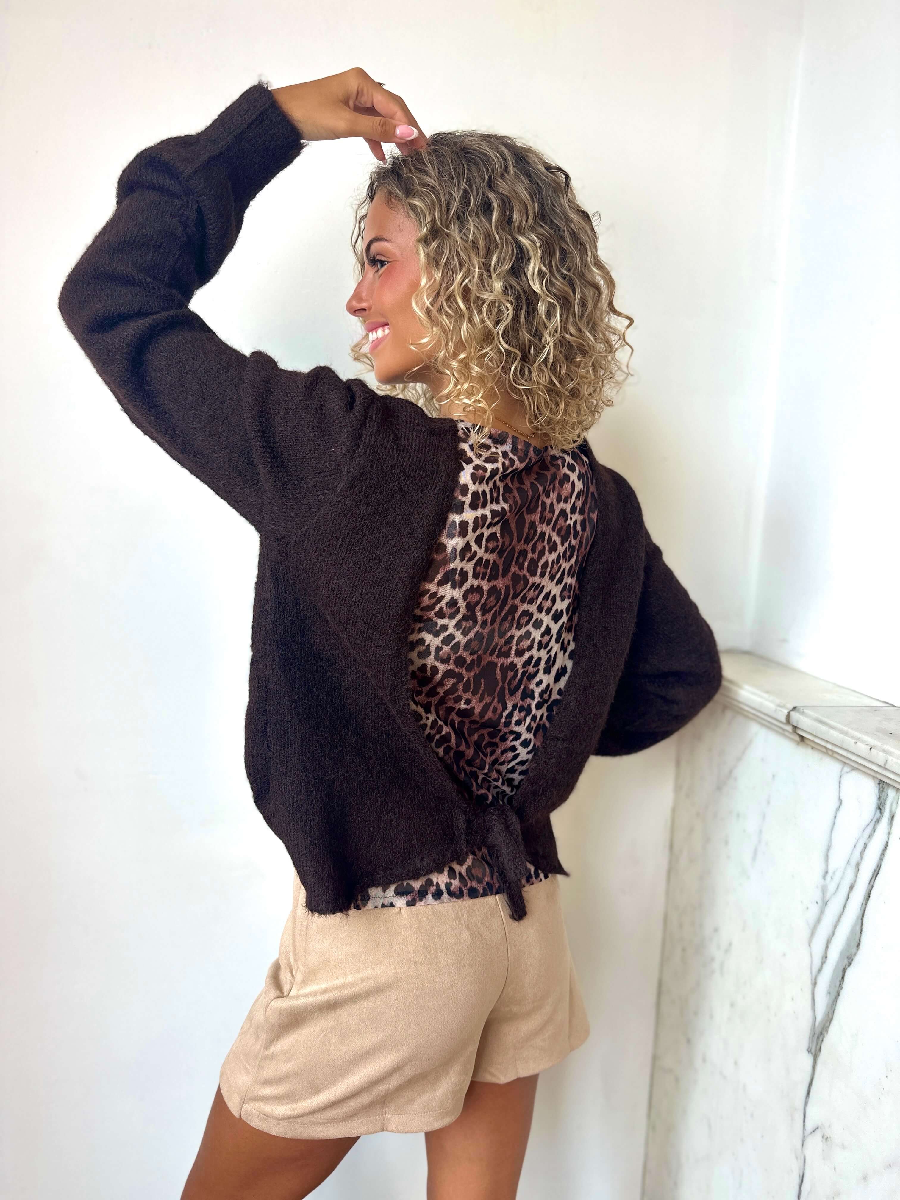 Pull chocolat - LEONIE